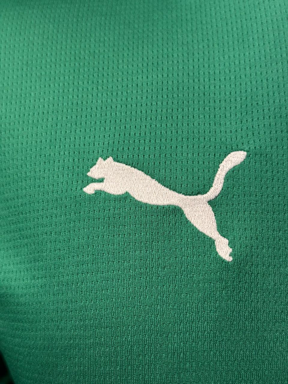 Camisa Palmeiras I 26/27 - Torcedor - Feminina
