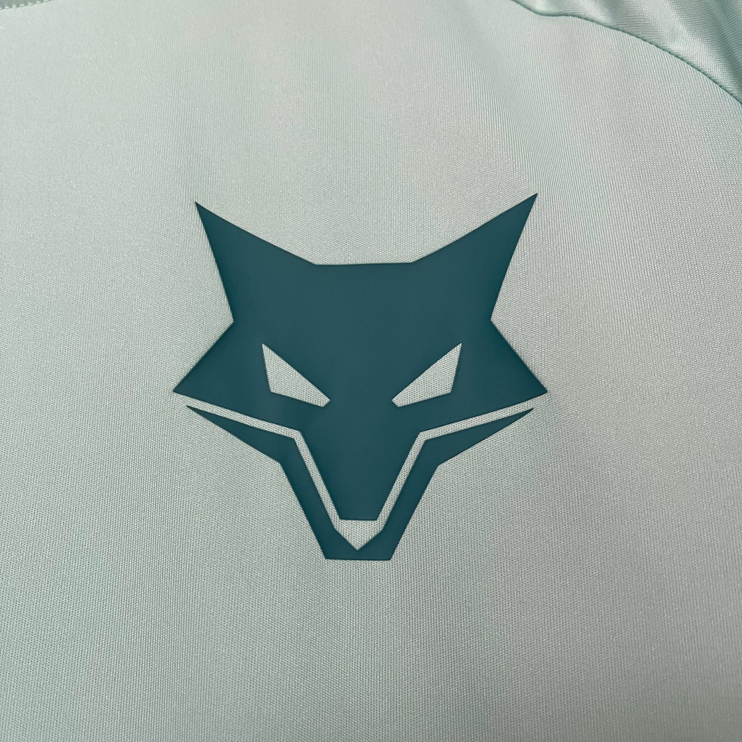 Camisa Cruzeiro de Treino 25/26 - Versão Torcedor