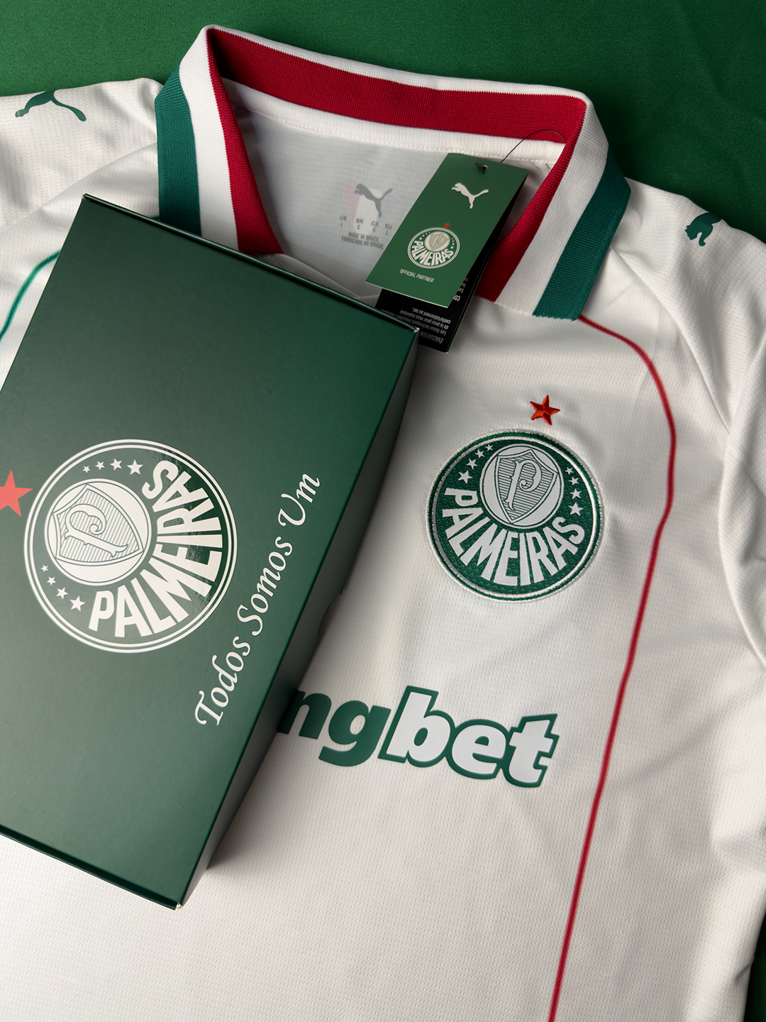 Camisa Palmeiras II 26/27 - Torcedor
