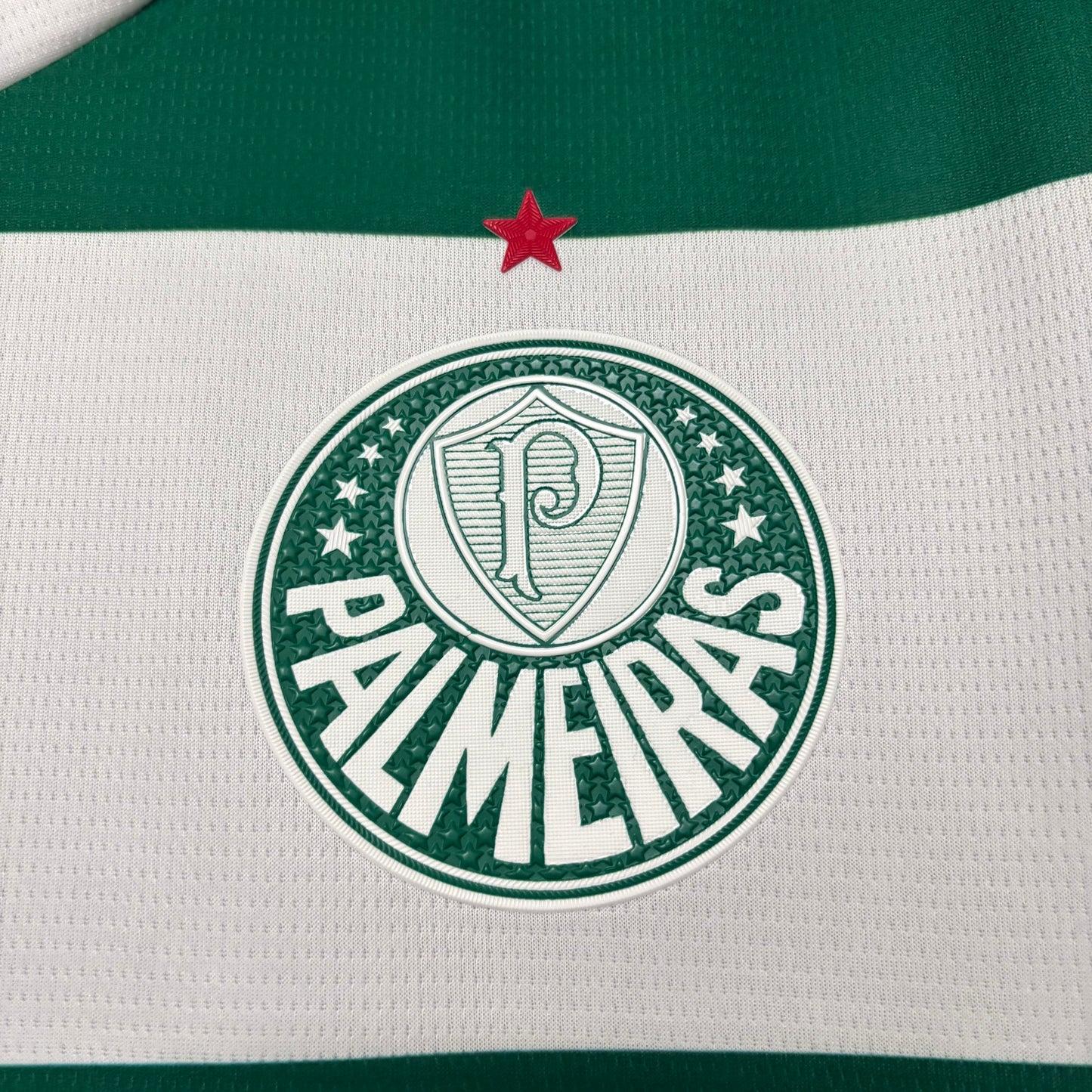 Camisa Palmeiras IV 25/26 - Torcedor